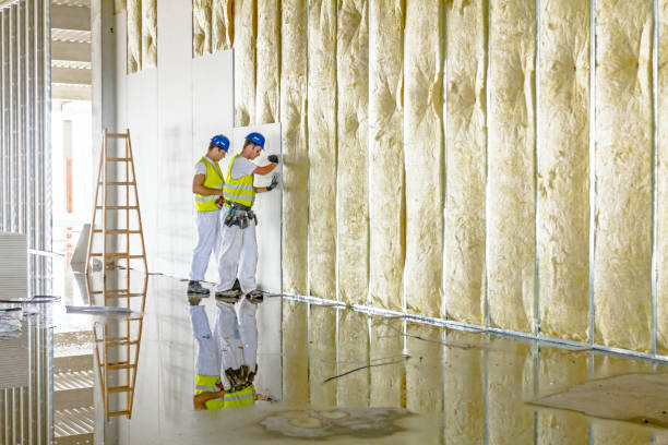 Best Insulation Repair Services  in La Grange Park, IL